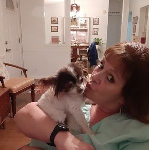 Meet your Posher, Susan